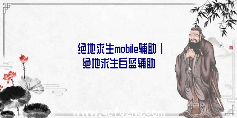 「绝地求生mobile辅助」|绝地求生白蓝辅助